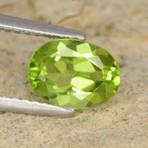 Verde vivo Peridoto Gema - 1.4ct Forma ovalada (ID: 481196)
