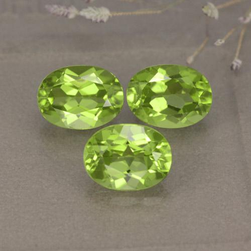 Medium Green Хризолит Камень - 1.5ct Фасетный Овал (ID: 481248)