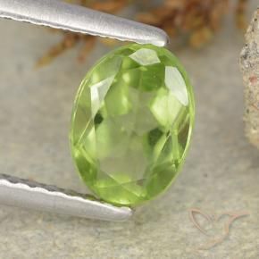 1.24 ct Green Peridot Stone, Natural Peridot in Oval Facet Shape for Sale