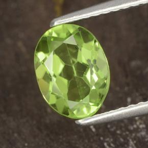 Yellowish Green Peridot Gem - 1.4ct Oval Facet (ID: 484250)