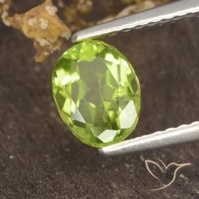 1.18 ct Green Peridot Stone, Natural Peridot in Oval Facet Shape for Sale
