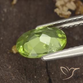 Peridot Gemstone in 8 x 6 mm (calibrated) Size for Sale, Peridot Stone in Medium Green Color