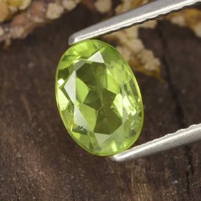 Verde amarillento Peridoto Gema - 1.3ct Forma ovalada (ID: 484257)