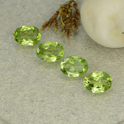 Medium Green Peridot Gem - 1.1ct Oval Facet (ID: 484265)