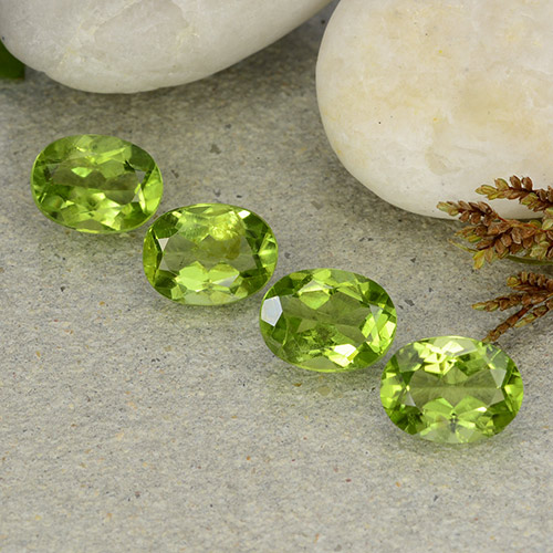 Medium Green Хризолит Камень - 1.4ct Фасетный Овал (ID: 484295)