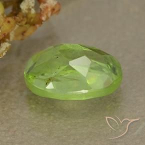 Peridot Gemstone in 7.6 x 5.6 mm Size for Sale, Peridot Stone in Yellowish Green Color