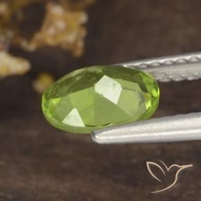 Peridot Gemstone in 7.7 x 6 mm Size for Sale, Peridot Stone in Medium Green Color