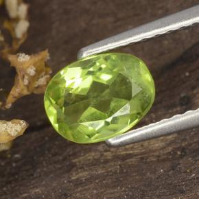 Light Lively Green Peridot Gem - 1.1ct Oval Facet (ID: 484355)