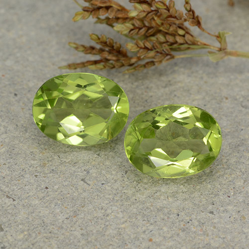 Light Lively Green Peridot Gem - 1.4ct Oval Facet (ID: 484406)