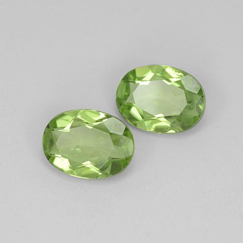 Light Lively Green Peridot Gem - 1.1ct Oval Facet (ID: 484411)