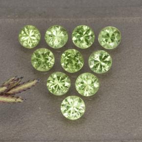 Medium Green Peridot Gem - 0.3ct Diamond-Cut (ID: 491034)
