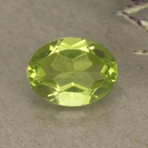 Lebendiges grün Peridot Edelstein - 1.4ct Oval facettiert (ID: 492152)