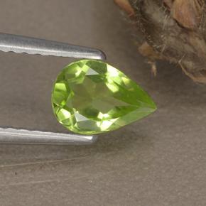 0.6ct Pear Facet Lively Green Peridot Gem for sale 0.6ct Pear Facet Lively Green Peridot Gem (ID: 497232)