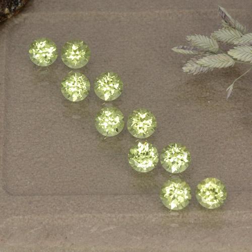 gelb-grün Peridot Edelstein - 0.1ct Rund Facettenschliff (ID: 498506)
