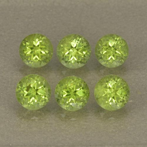 ライブリーグリーン ペリドット 宝石 - 0.3ct ラウンドファセット (ID: 499988)