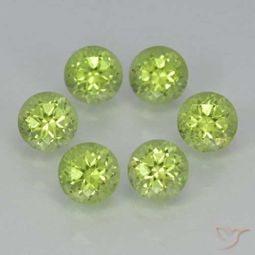薄いライブリーグリーン ペリドット 宝石 - 0.3ct ラウンドファセット (ID: 500061)