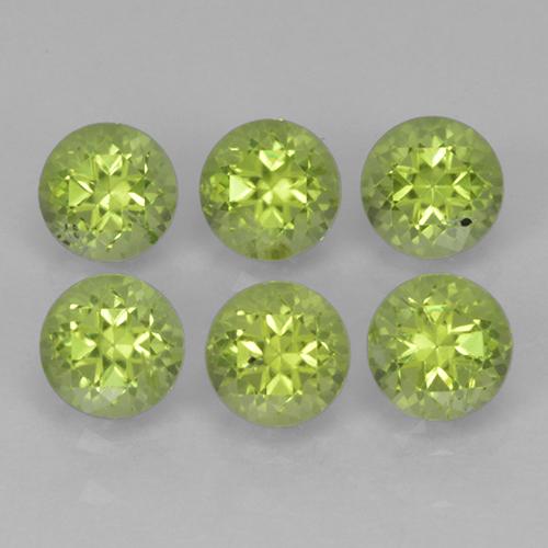 Light Lively Green Peridot Gem - 0.3ct Round Facet (ID: 500155)