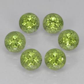 Verde vivo claro Peridoto Gema - 0.3ct Faceta Redonda (ID: 500289)