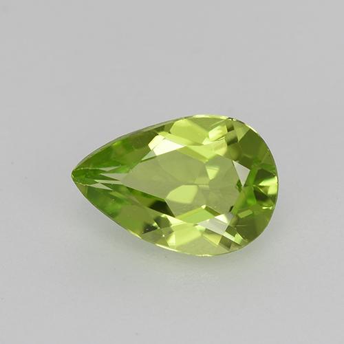 Medium Green Peridot Gem - 0.8ct Pear Facet (ID: 521681)