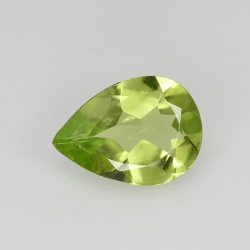 Lively Green Peridot Gem - 0.6ct Pear Facet (ID: 522507)