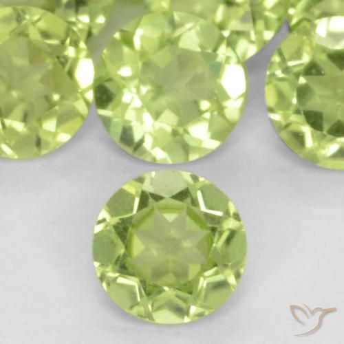 24.44 ctw Green Peridot Gemstones, Peridot Gems in Round Facet Shape for Sale.