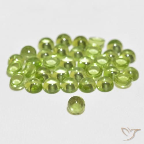 13.84 ctw Green Peridot Gemstones, Peridot Gems in Round Cabochon Shape for Sale.