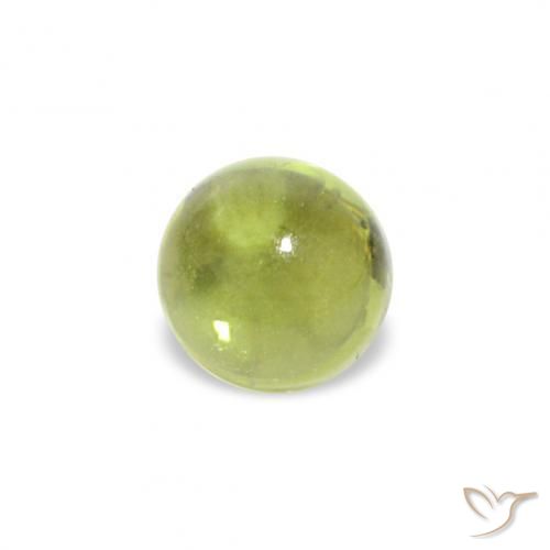 26.35 ctw Green Peridot Stones, Natural Peridot in Round Cabochon Shape for Sale