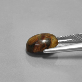 Pietersite Gemstone in 10.5 x 8.2 mm Size for Sale, Pietersite Stone in Multicolor Color