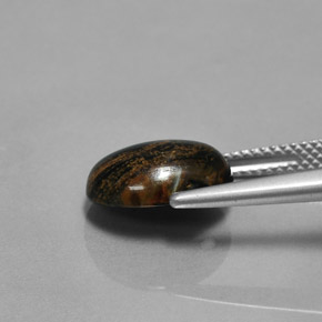 Pietersite Gemstone in 12 x 10 mm (calibrated) Size for Sale, Pietersite Stone in Multicolor Color