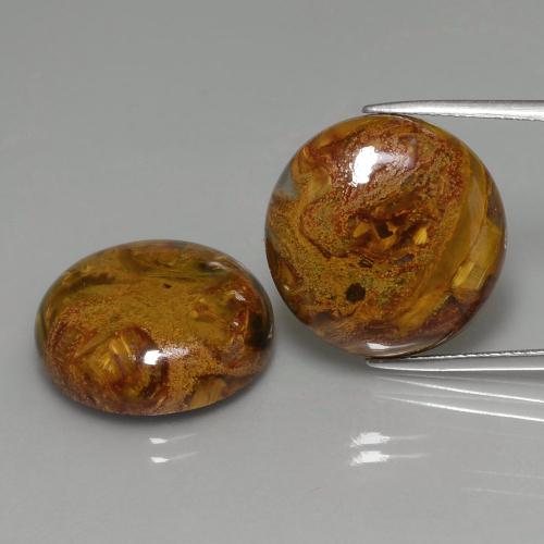 Multicolor Pietersite Gem - 15.6ct Round Cabochon (ID: 391649)