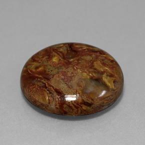 11.89 ct Multicolor Pietersite Stone, Natural Pietersite in Round Cabochon Shape for Sale