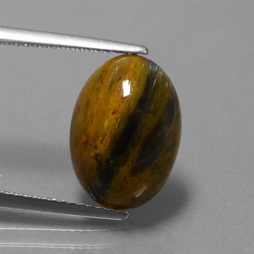 Multicolor Pietersite Gem - 4.6ct Oval Cabochon (ID: 448154)