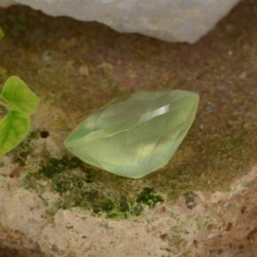 Prehnite Gemstone in 16 x 12 mm (calibrated) Size for Sale, Prehnite Stone in Pale Pear Green  Color
