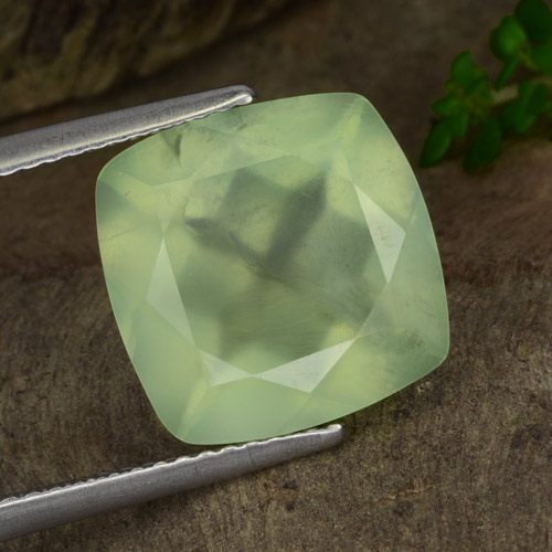 Pale Pear Green Prehnite Gem - 7.2ct Taglio a cuscino (ID: 304563)