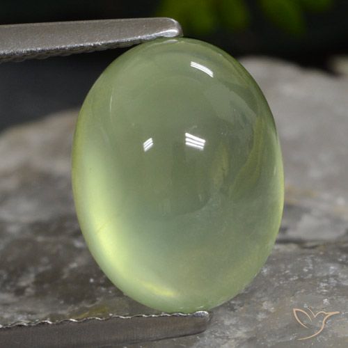 Medium Green Prehnite Gem - 3.3ct Oval Cabochon (ID: 307424)