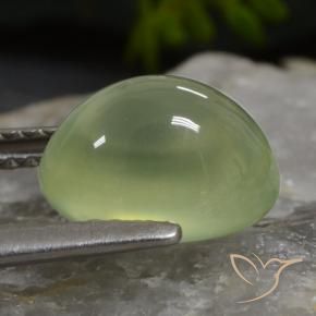 Prehnite Gemstone in 9.9 x 7.6 mm Size for Sale, Prehnite Stone in Medium Green  Color