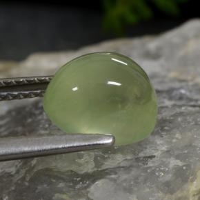 Prehnite Gemstone in 8.8 x 7.6 mm Size for Sale, Prehnite Stone in Lime Green  Color