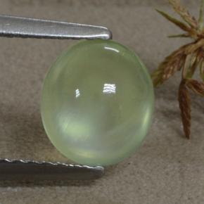 Yellow Green Prehnite Gem - 1.4ct Oval Cabochon (ID: 322527)