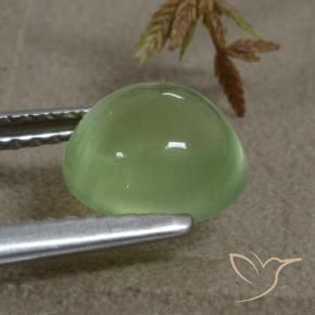 Prehnite Gemstone in 7.7 x 7.4 mm Size for Sale, Prehnite Stone in Medium Green  Color