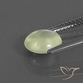Prehnite Gemstone in 8.1 x 7.6 mm Size for Sale, Prehnite Stone in Olive Green  Color