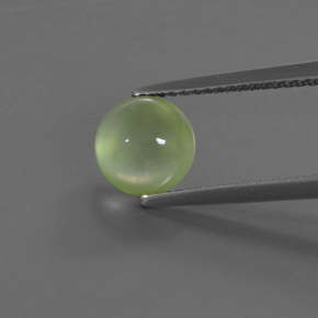 Pale Lime Green Prehnite Gem - 1.8ct Round Cabochon (ID: 368476)