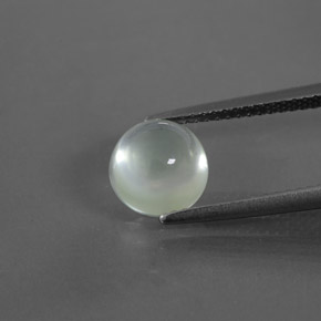 Verde muy claro Prehnite Gema - 2.4ct Cabujón Redondo (ID: 368572)