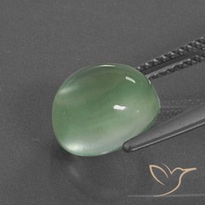 Prehnite Gemstone in 9.9 x 9.1 mm Size for Sale, Prehnite Stone in Lime Green Color