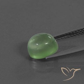Prehnite Gemstone in 7.9 x 6.8 mm Size for Sale, Prehnite Stone in Yellowish Green Color