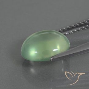 Prehnite Gemstone in 9 x 7.9 mm Size for Sale, Prehnite Stone in Light Green Color