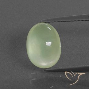Prehnite ovale de 4 ct, 10,4 x 7,7 mm d'Afrique du Sud, Photo A