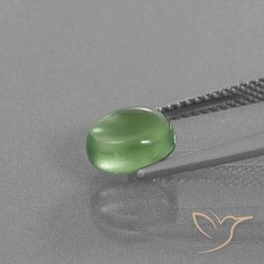 Prehnite Gemstone in 8 x 6.9 mm Size for Sale, Prehnite Stone in Medium Green Color