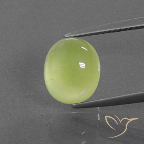 Prehnite ovale de 4,59 ct, 10 x 8,5 mm d'Afrique du Sud, Photo A