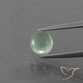 1.73 ct Green Prehnite Gemstone, Prehnite Gem in Round Cabochon Shape for Sale.