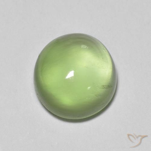 Prehnite ovale de 2,08 ct, 8 x 7,5 mm d'Afrique du Sud, Photo A